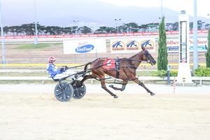 Mydadsaid is the first though to Group 1 Final