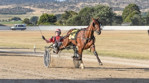 Jorge Street claims Carrick Cup