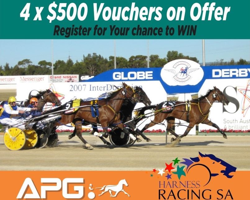 HRSA offers exclusive vouchers for APG Yearling Sale