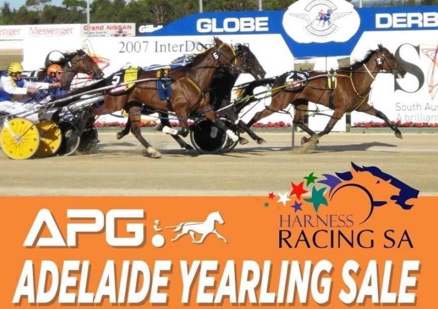 A feast on offer in Adelaide this weekend