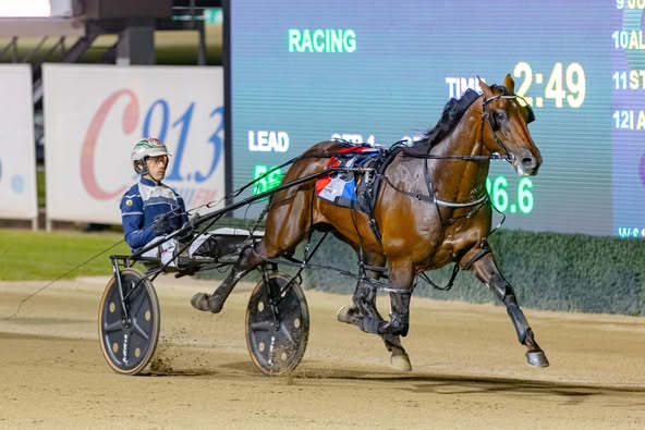 Pacing star lining up for The Eureka