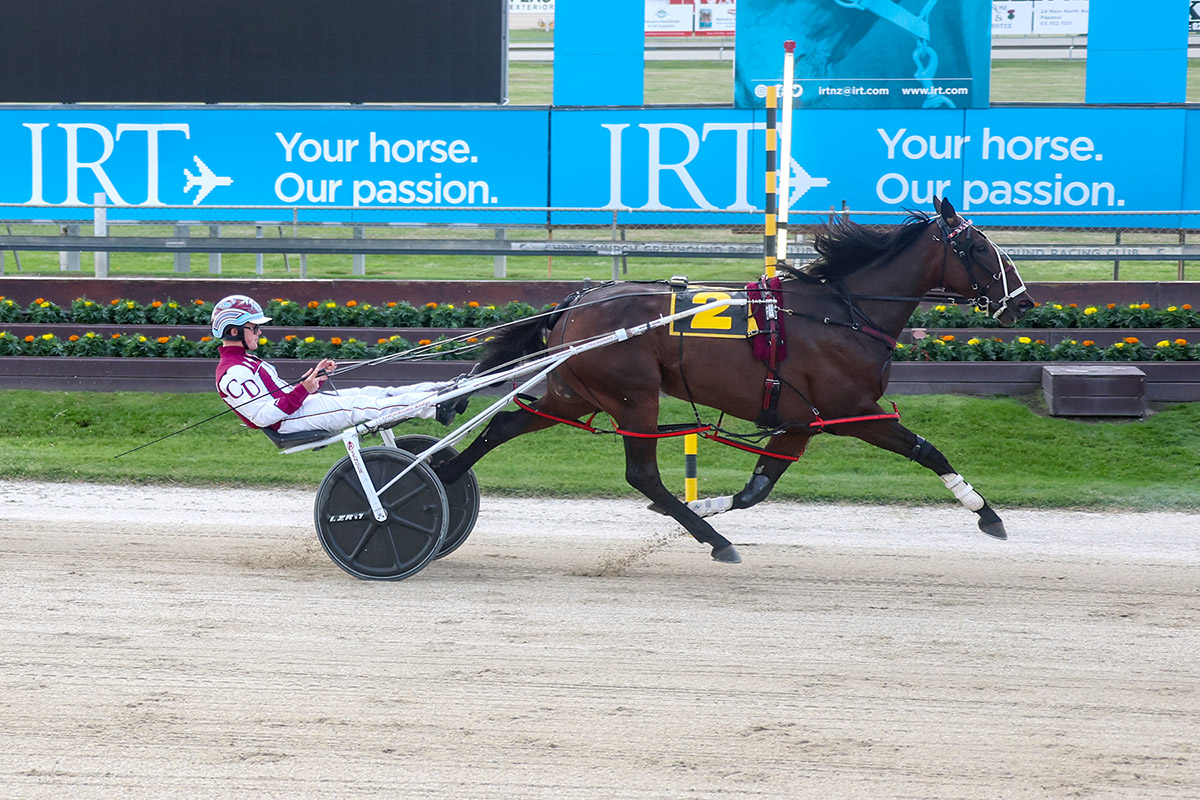 Fillies take centre stage tonight in $200,000 final