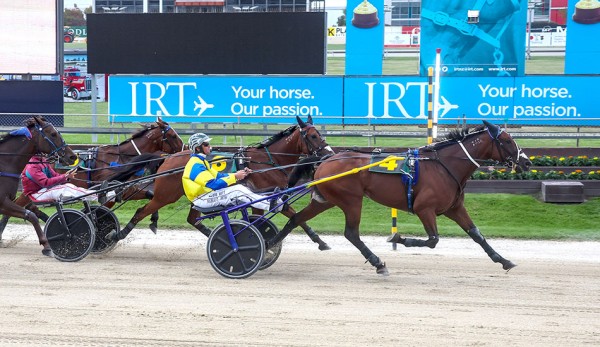 Bet N Win confirmed for $650,000 TAB Trot
