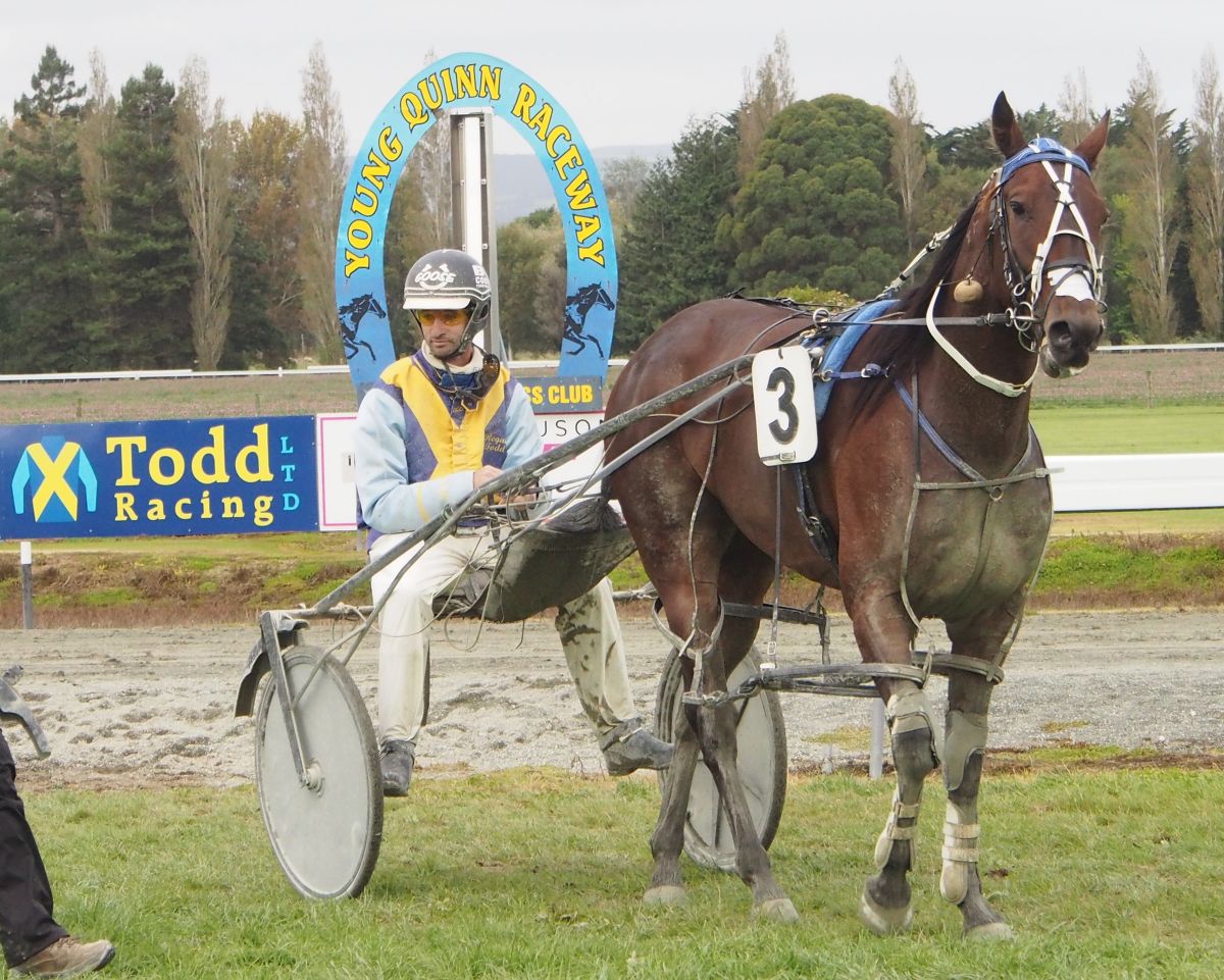 Betterthancash great moneymaker