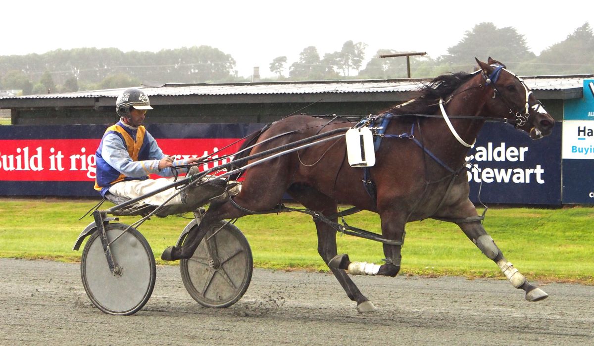 Betterthancash takes the money with a great run