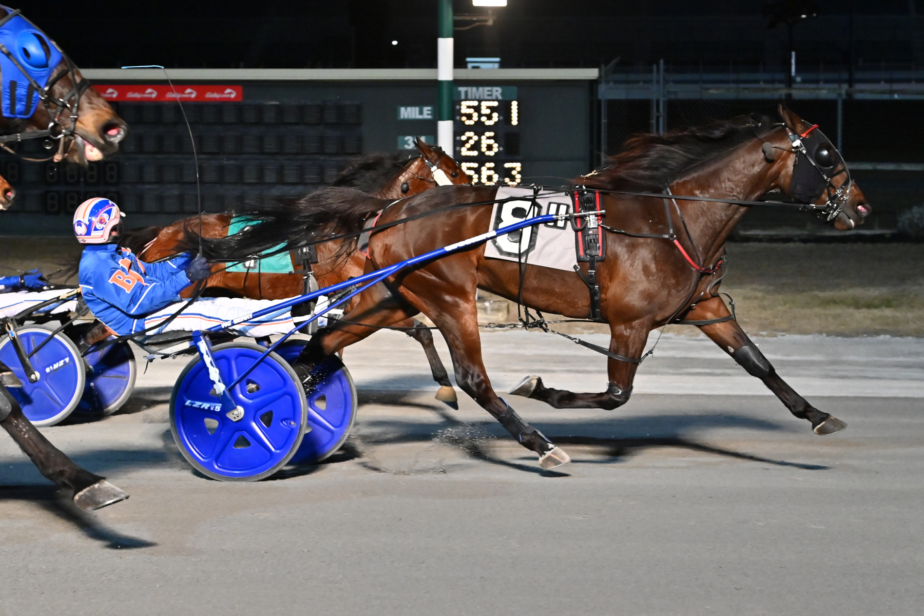 Chapheart has the heart of a lion