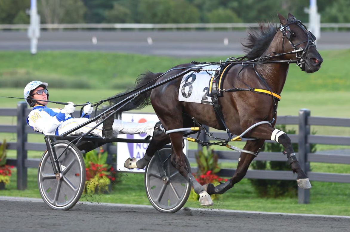 Chantilly heads straight to SBOA Stakes Final