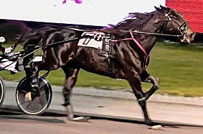 College Tuition pays dividends for Foster