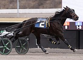 Mucci is motoring with Colorado Joe