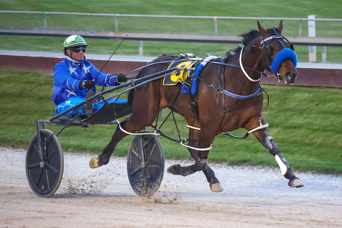 Nathan Purdon talks north and south