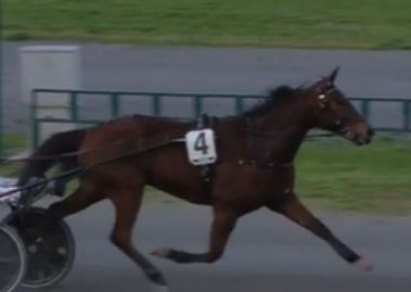 Dany Capar wins Premio Duomo at Firenze