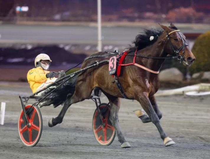 Dolce Viky wins Gunnar Eggens STL Gold