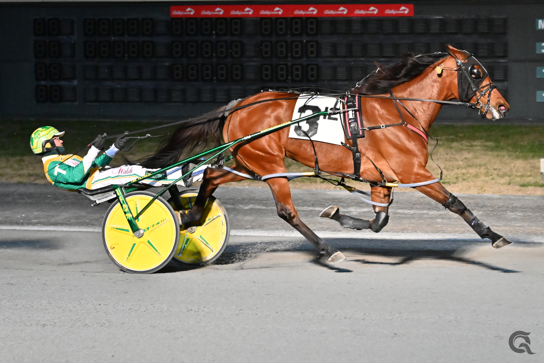 Elegant A wins coast to coast in $25,000 Mares Open