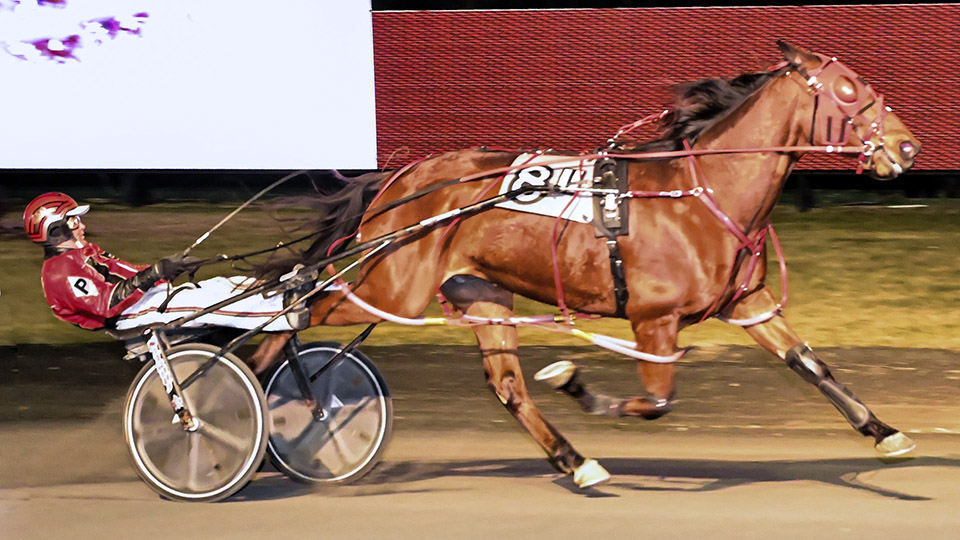 Don’tmesswithles toughs out an upset victory