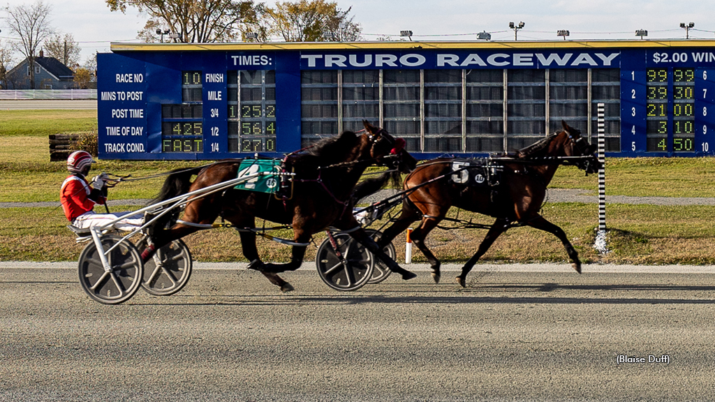 Truro Harness Horse Owners Association presents annual awards