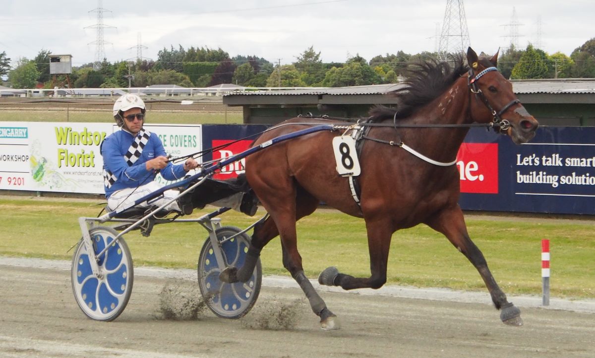 Hidden Talent wins Trotters Cup