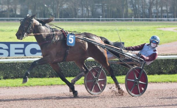 Euro Trots – Hohneck wins!!!