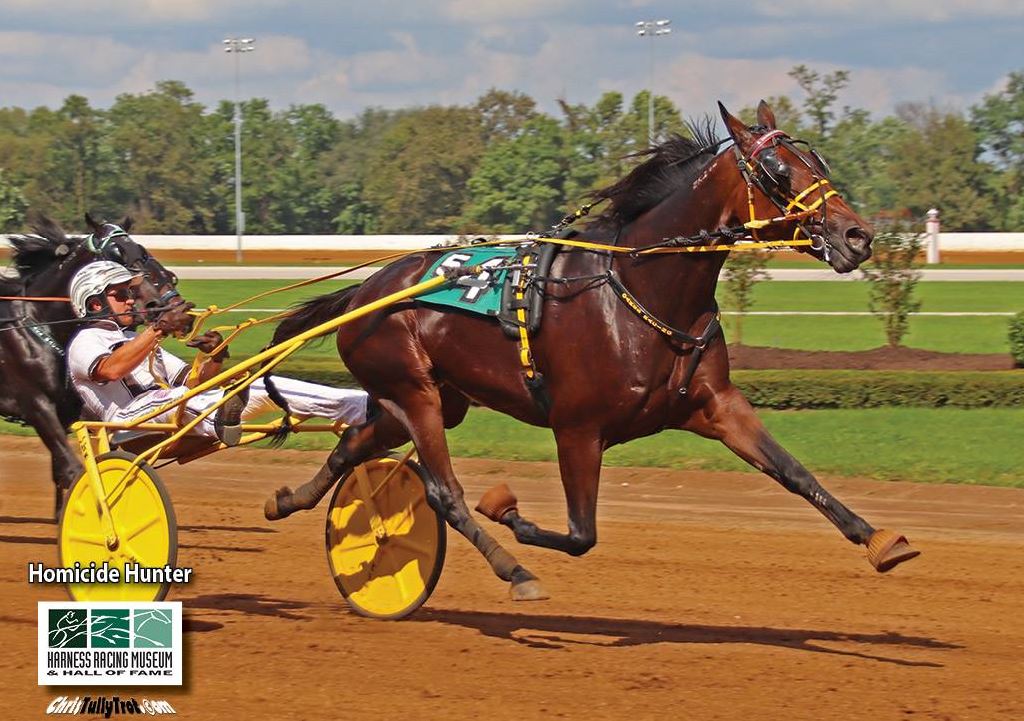 World’s fastest trotter joins MMXX show team