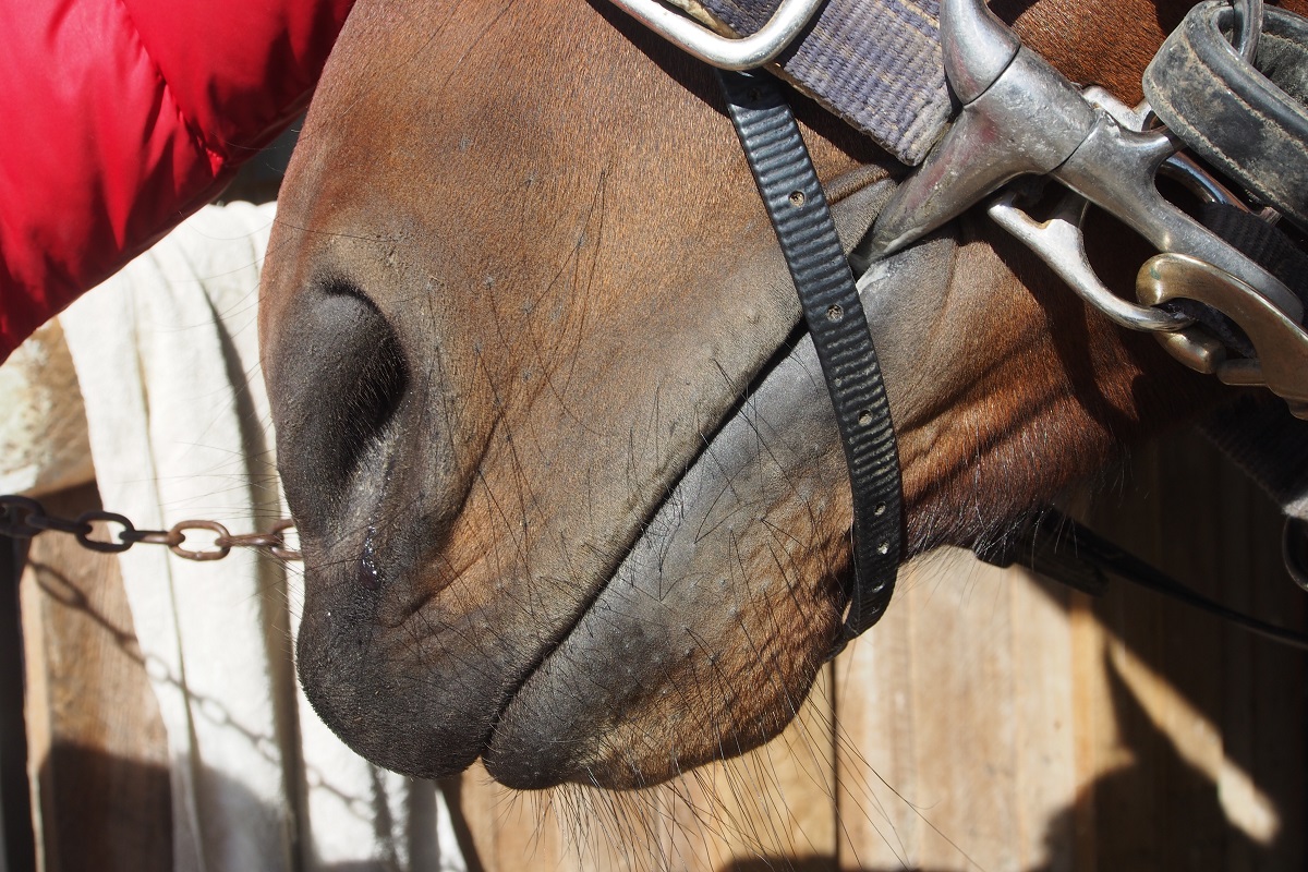 Team Teal drives the Forbury card