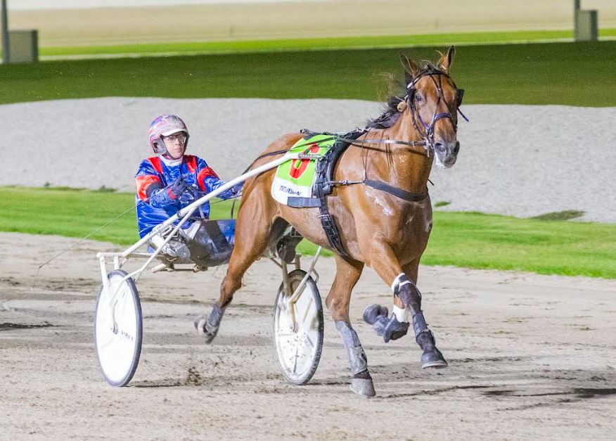 Im Ready Jet begins her next chapter after glittering career