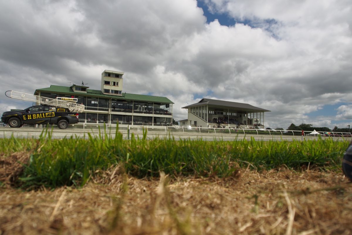 Twilight harness meeting at Ascot Park