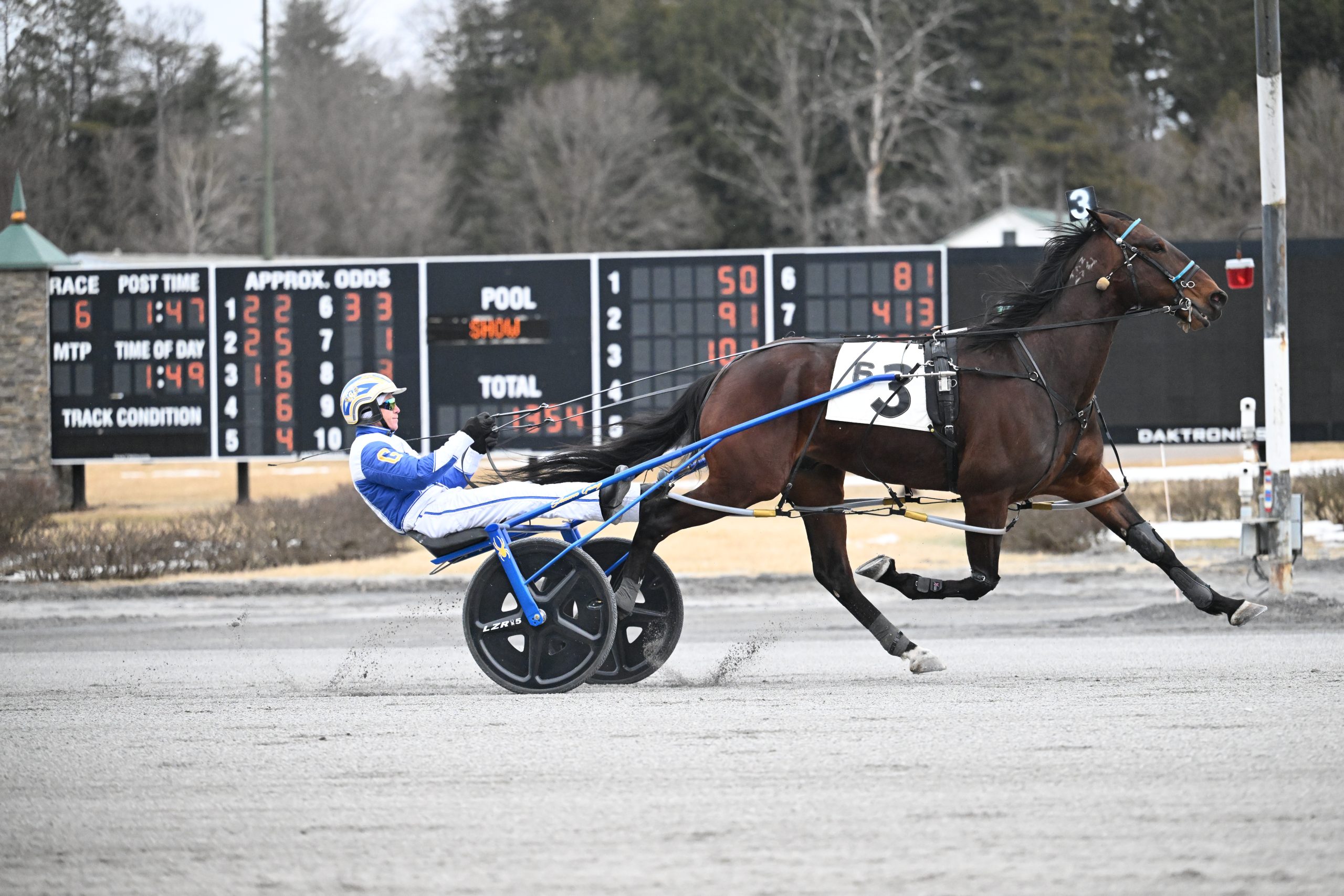 Ex New Zealand pacer upsets at 16-1