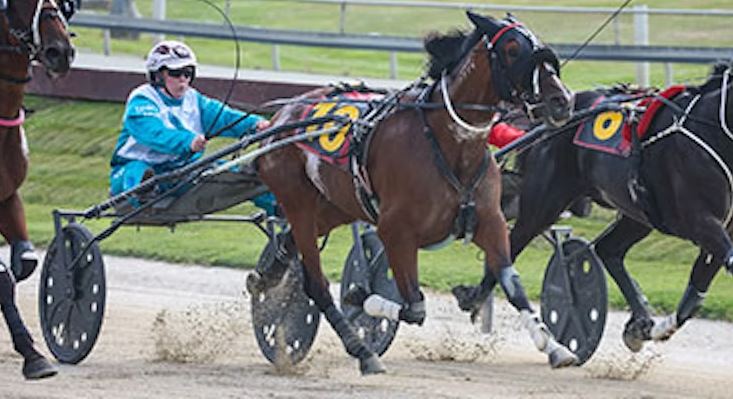 Royal Aspirations joins rare $1m club