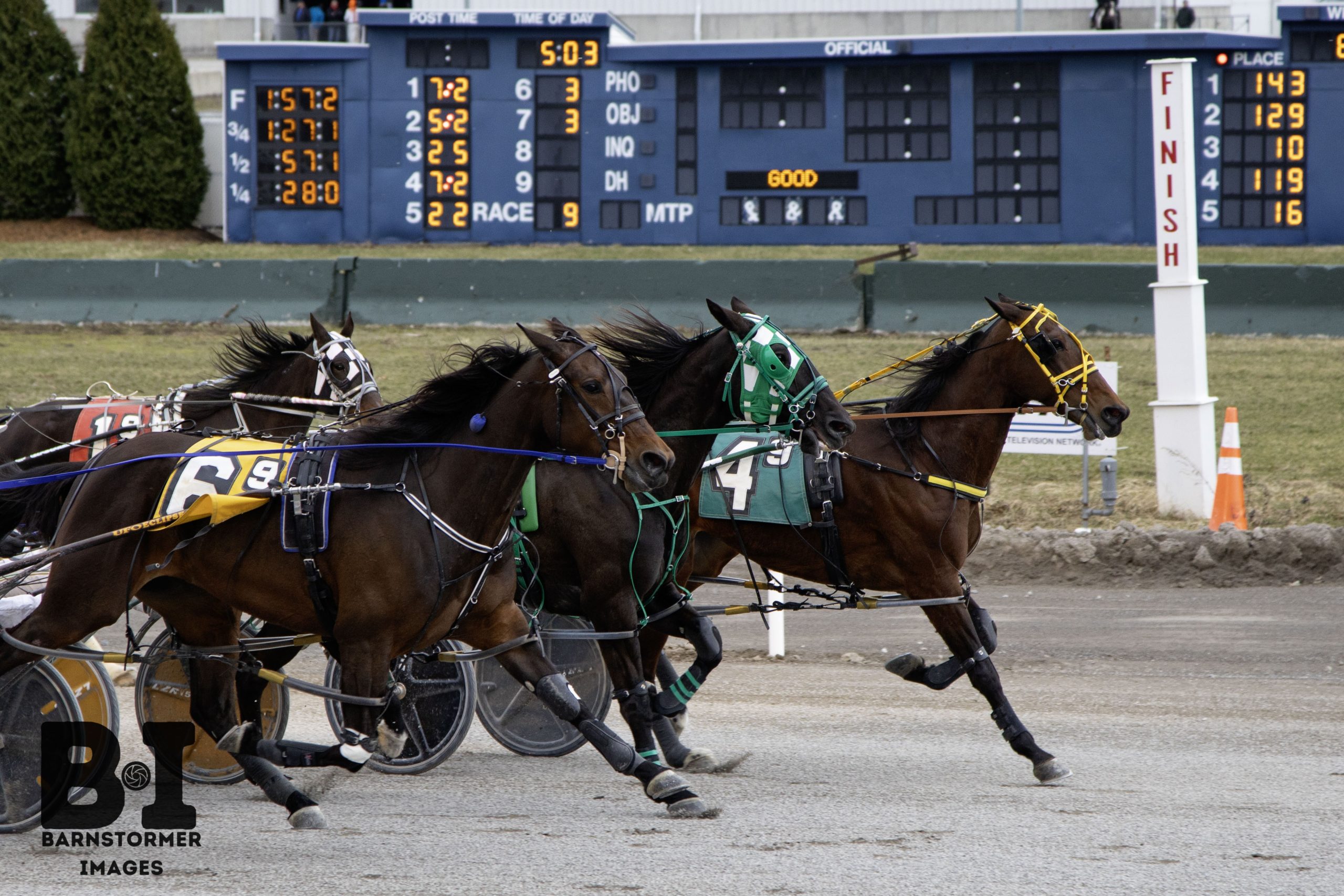 Legal Jeopardy gets the nod in three way photo finish