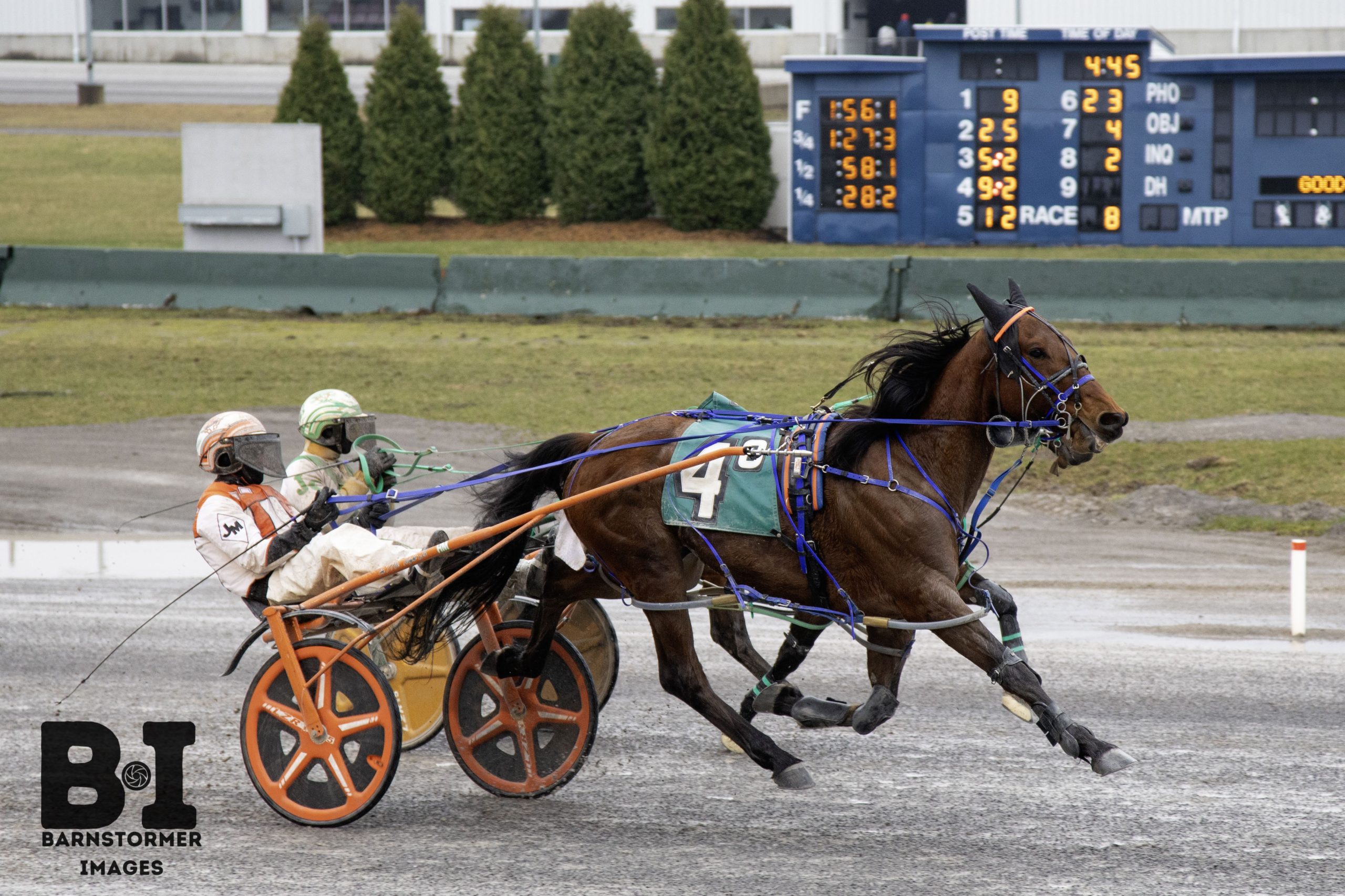 Livonjaxandqueens dealt a winning hand