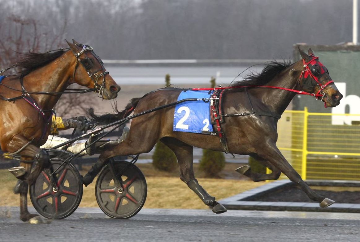 New Rules takes New Holland Final