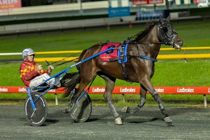 Northern trotter is reaching new heights