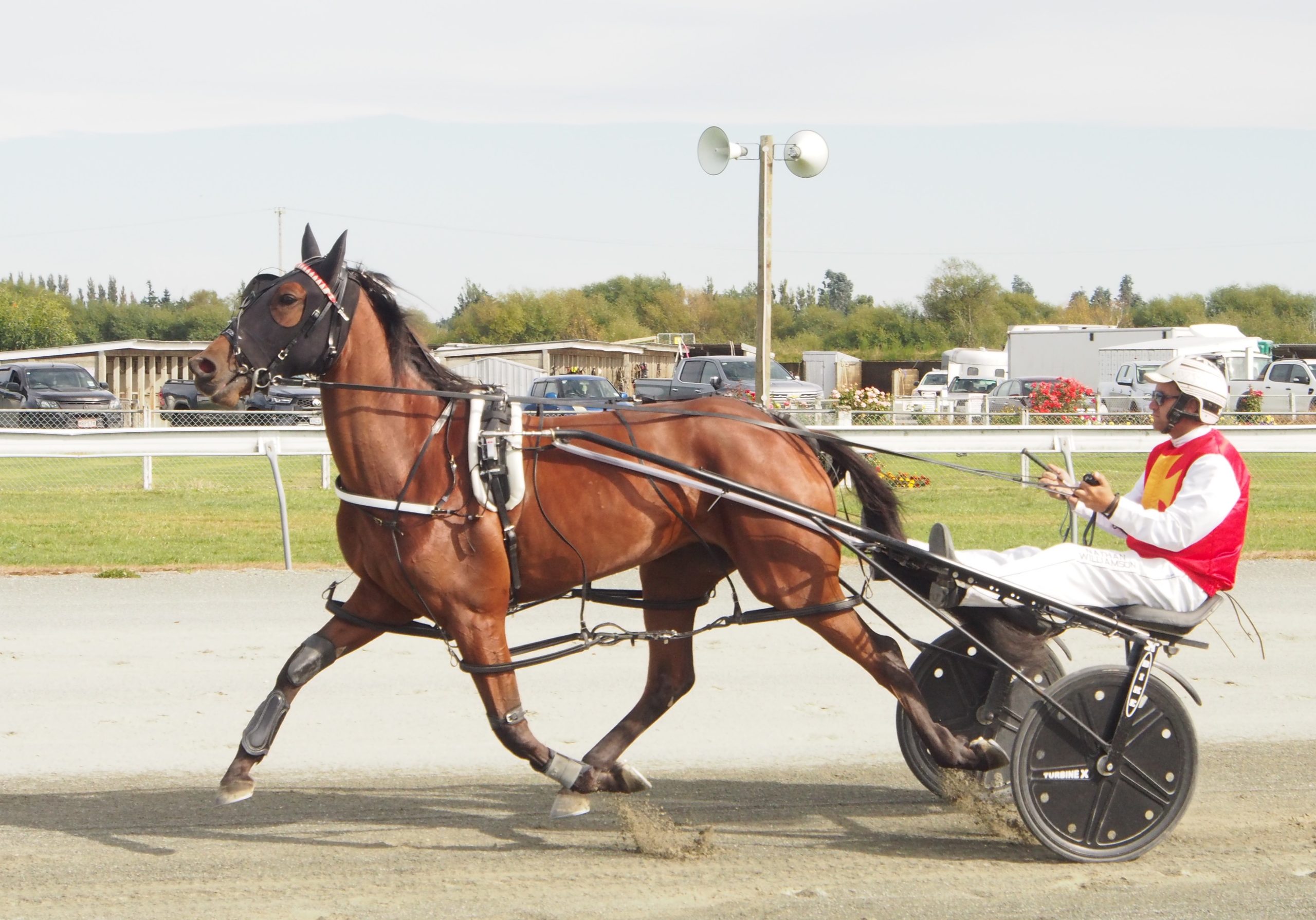 Douglas takes three good chances to Northern Southland tomorrow