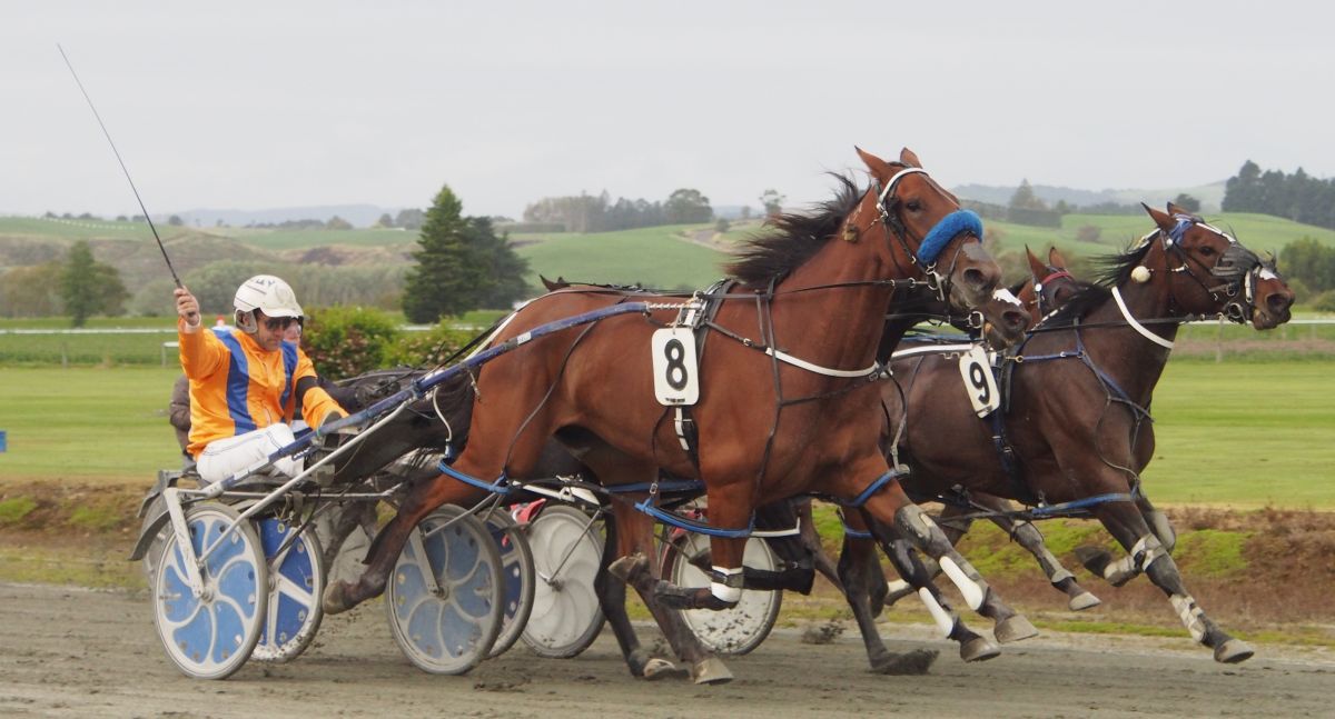 Special win for Price family