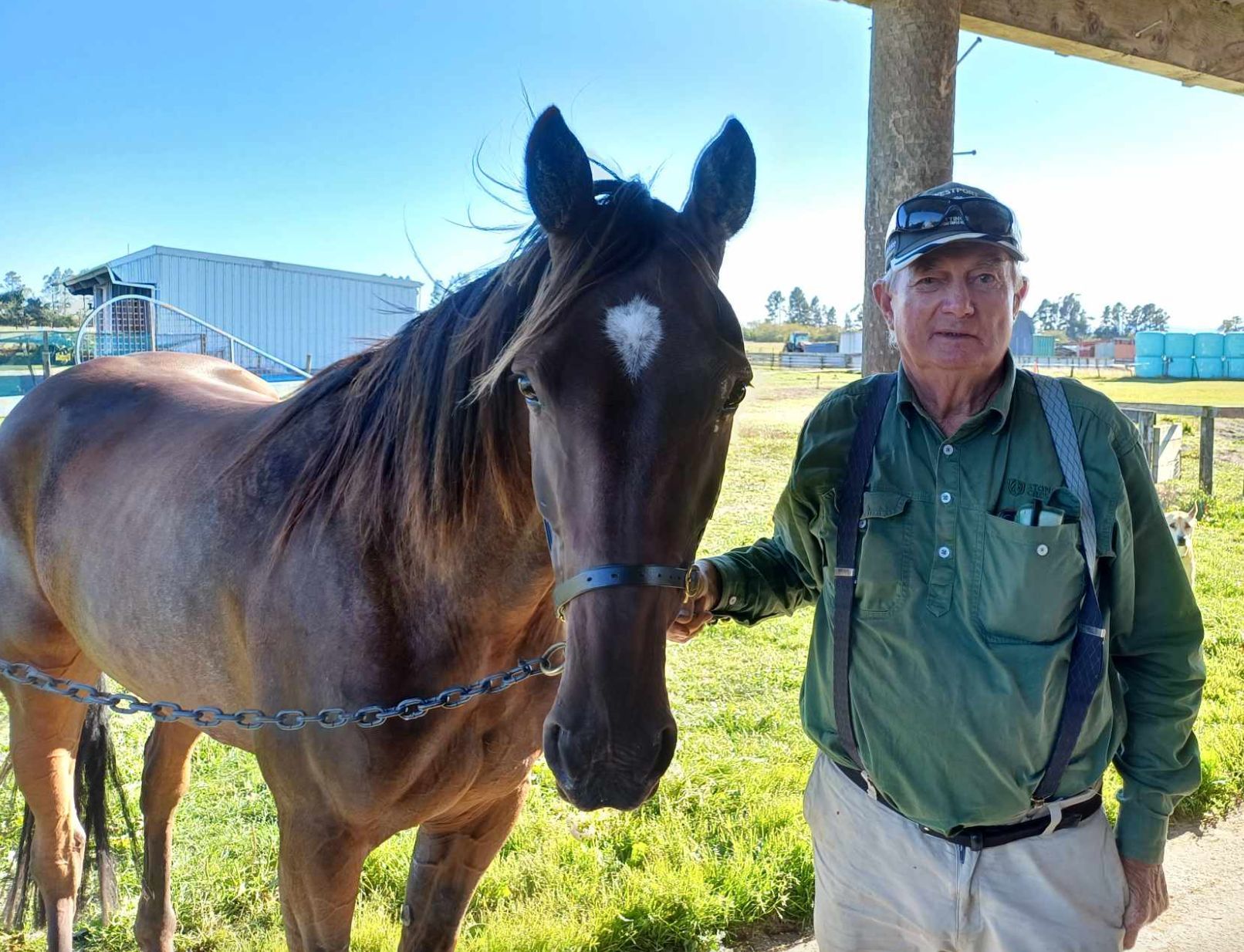 Westport icon hoping to celebrate eighty years young in style