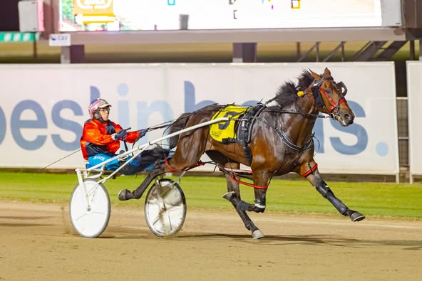 Showmethetanlines effortless win in NSW Sapling Stakes