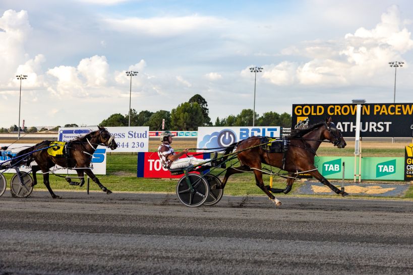 Sparkling Sea’s Blistering debut