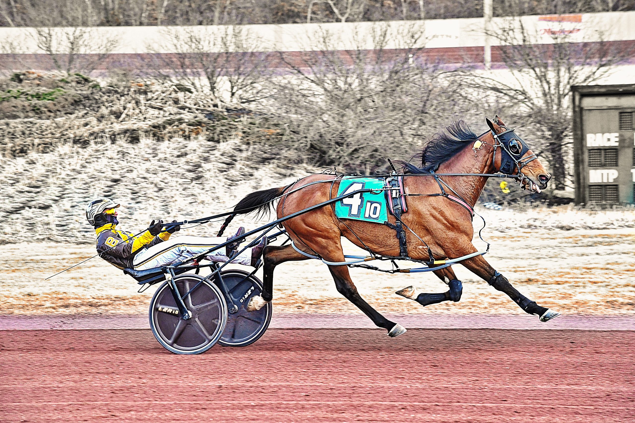 Spring Inhis Step A dominates at Pocono