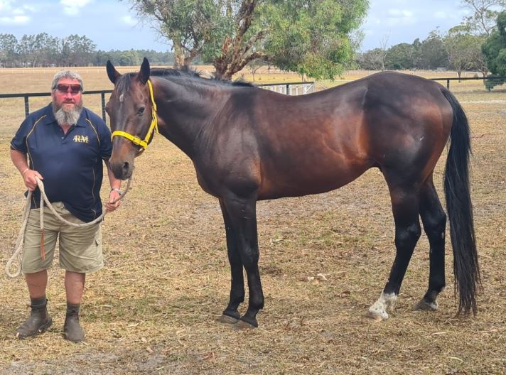 Country publican banks on sire revival 