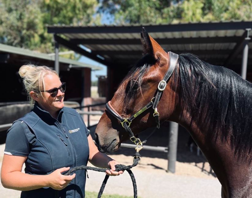 Stringer has faith in the Tapu Family 