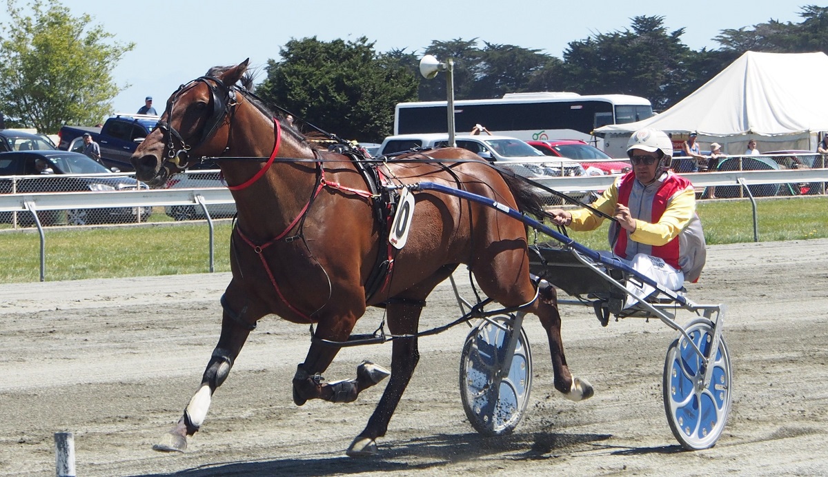 Slow and steady for Tact McLeod