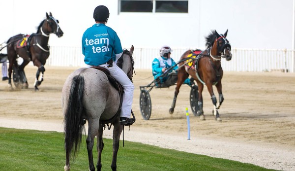 Team Teal gears up for a big last fortnight