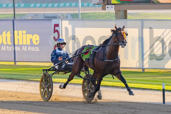 The Highland Reel runs his rivals ragged in First NSW Derby Heat.