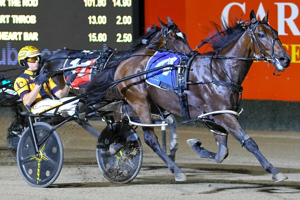 Timmy Rictor sweeps to stylish win in Autumn Gift