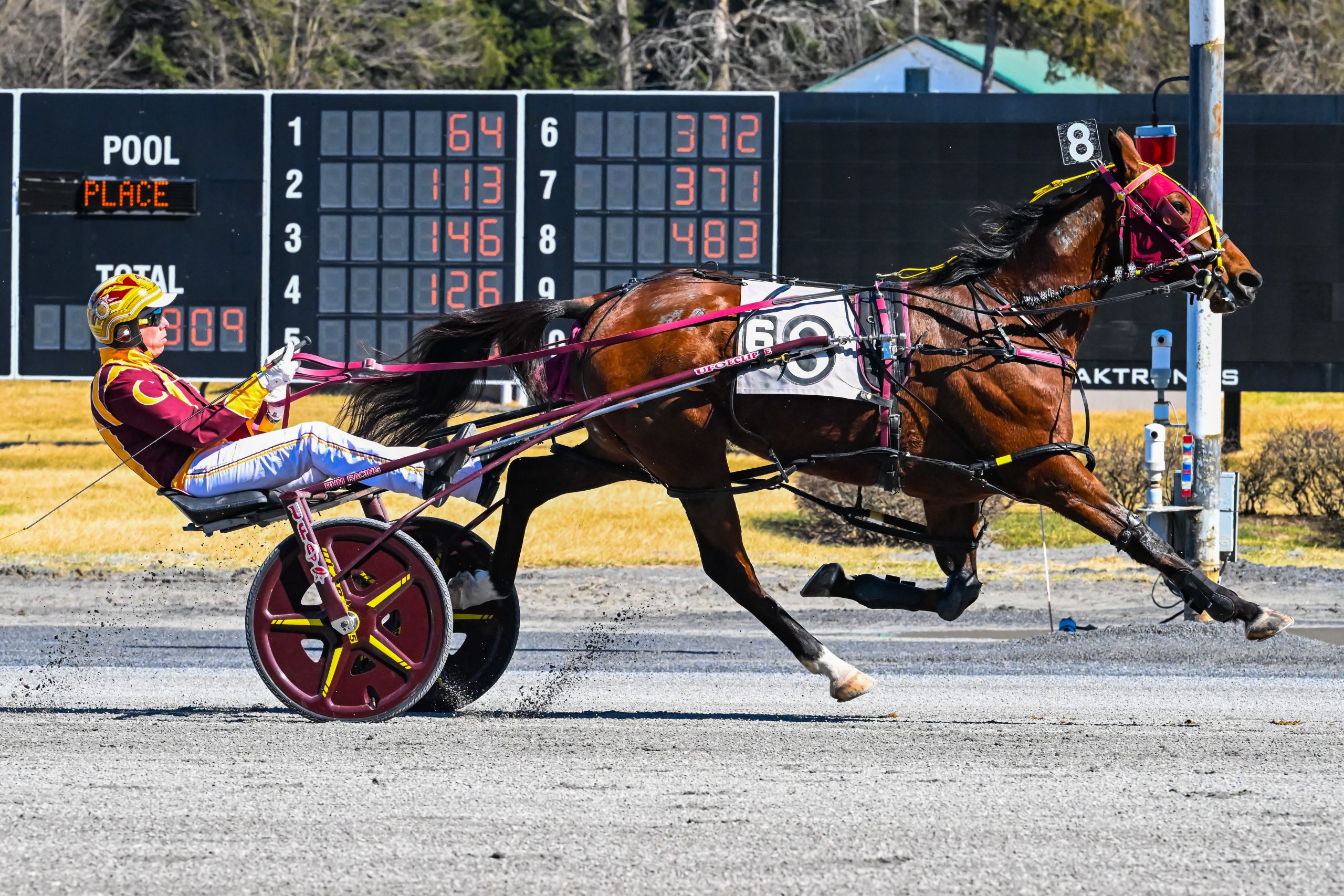 Ex-Kiwi mare sits parked but still wins at Saratoga