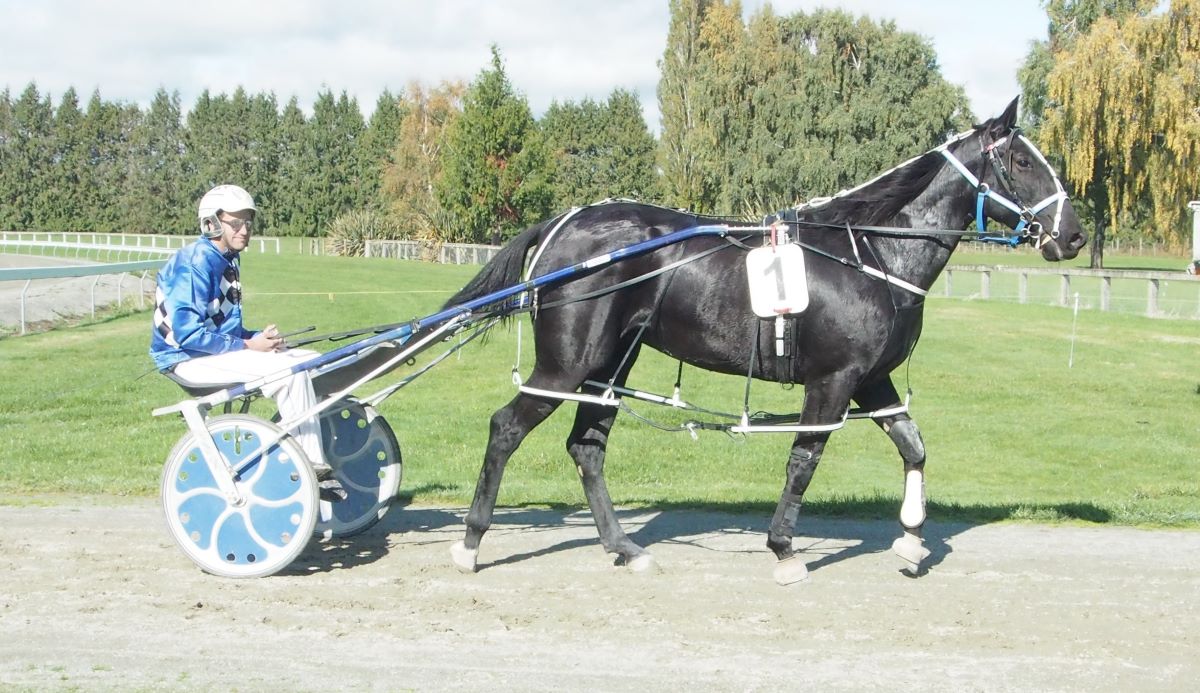 Utah Jazz heads Williamson line up at Ascot Park