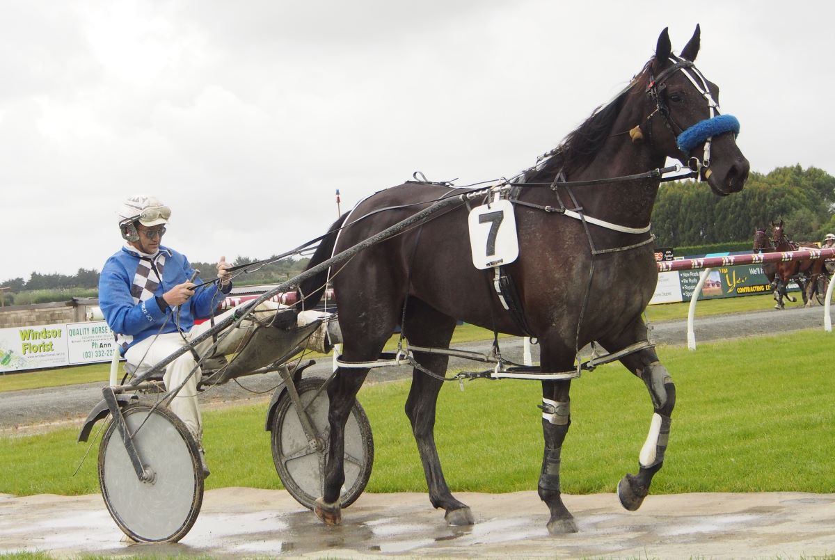 Utah Jazz gets into winning swing