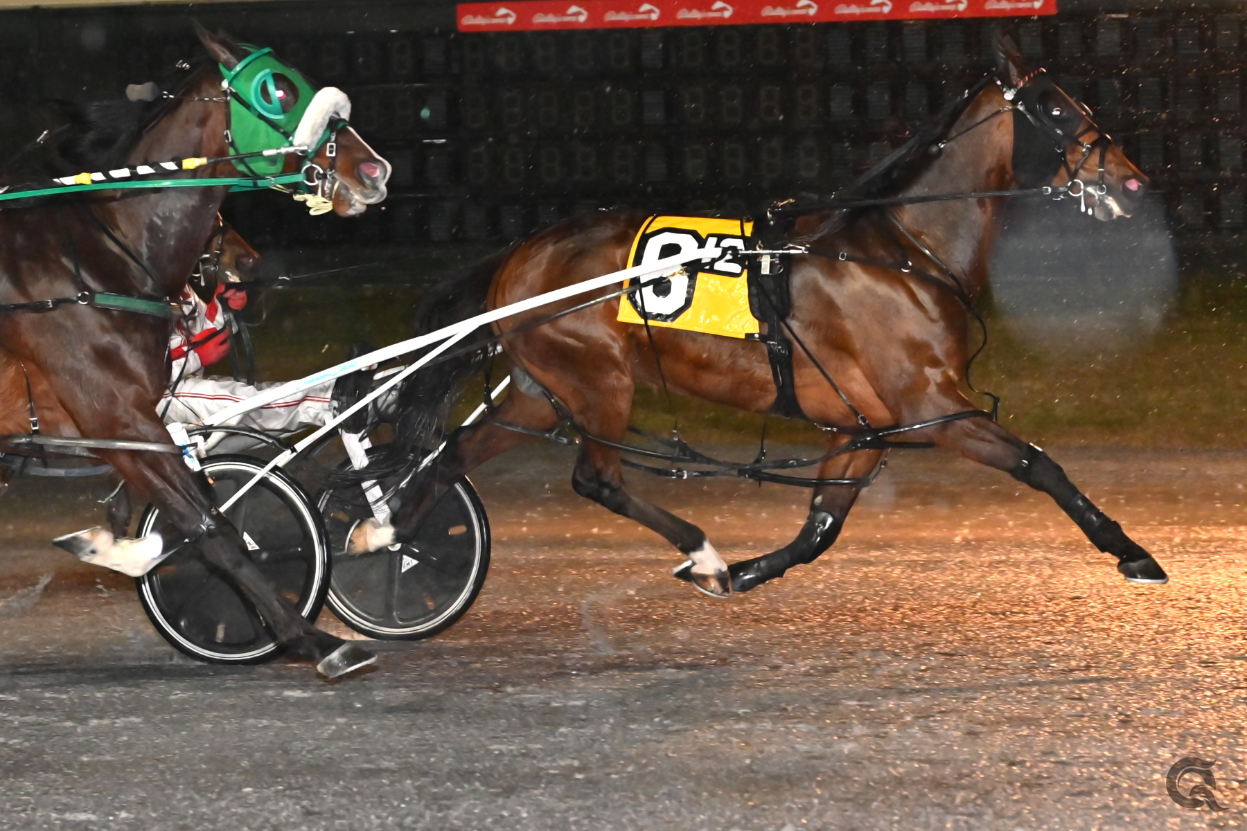 Itsrockandroll A delivers at Bally’s Dover