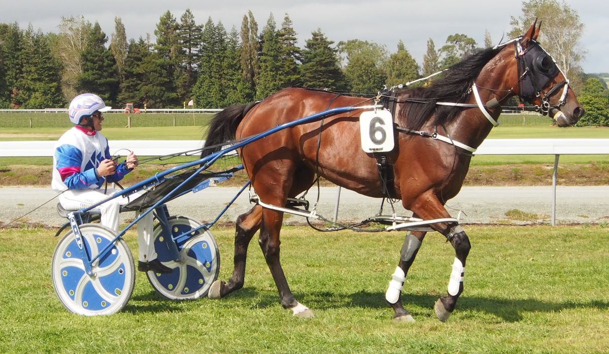 Wag Star returns to winning form in Wyndham Cup