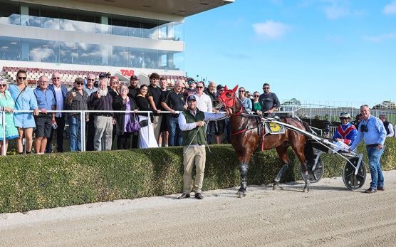 Elite Stride’s perfect debut as a stallion
