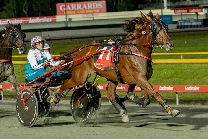 Darcy back like a fireball for Dwyer team